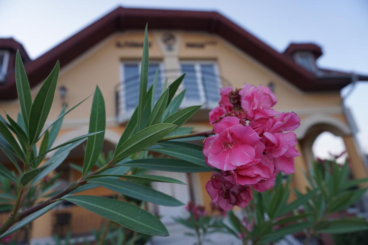 Airport Almaskert Panzio Bed & Breakfast Vecsés Dış mekan fotoğraf